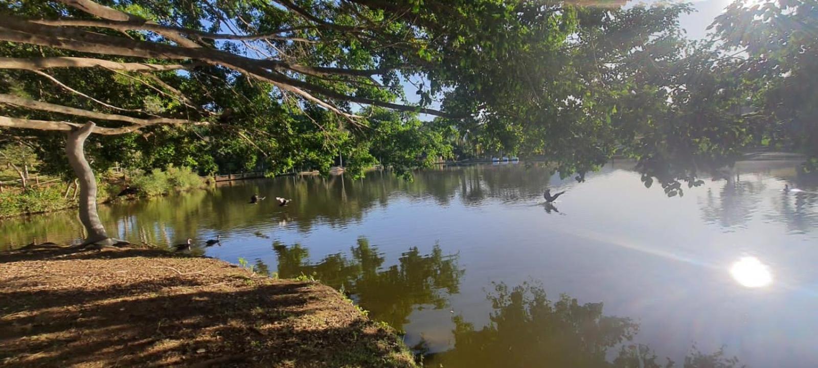 Canto De Roca Turismo E Lazer Mimoso do Sul エクステリア 写真